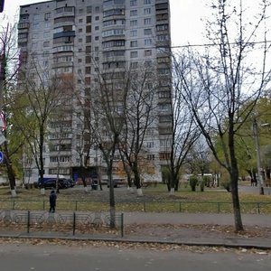 Lisovyi Avenue, 29, Kyiv: photo