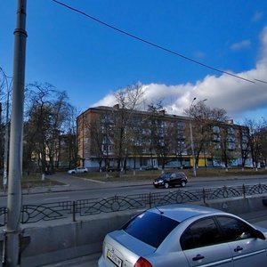 Oleny Telihy Street, 15, Kyiv: photo