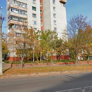 Чернигов, Улица Рокоссовского, 18А: фото
