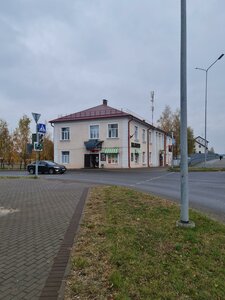 Борисов, Улица Гагарина, 91: фото