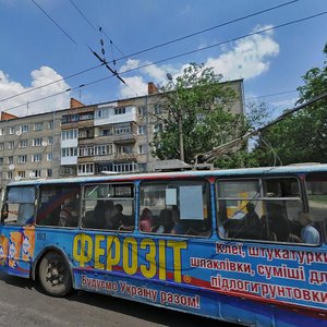 Lvivska vulytsia, 63, Lutsk: photo