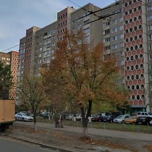 Heroiv Dnipra Street, 26, Kyiv: photo