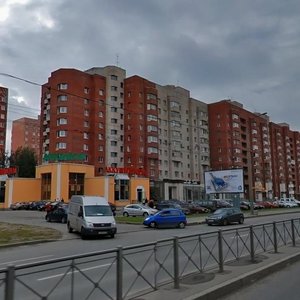 Leninskiy Avenue, 93, Saint Petersburg: photo