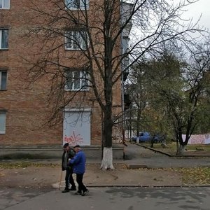Donetska Street, 65, Kyiv: photo