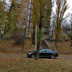 Ioanna Pavla II Street, 13, Kyiv: photo