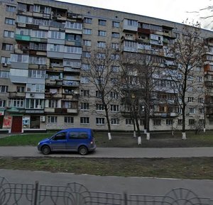 Zhylianska Street, 45, Kyiv: photo