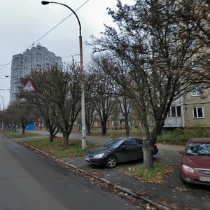 Volhohradska Street, 21А ، كييف: صورة