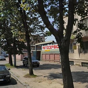 Львов, Улица Антоновича, 138: фото