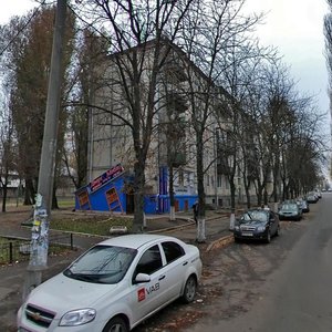 Aviakonstruktora Antonova Street, 37, Kyiv: photo