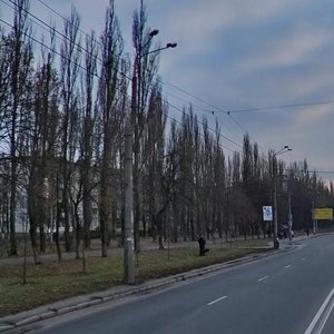 Ivana Vyhovskoho Street, 8, Kyiv: photo