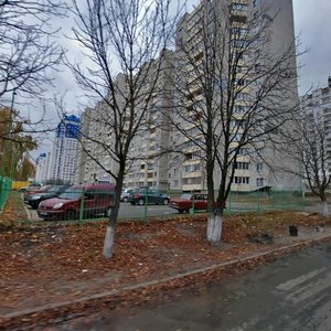 Yakuba Kolasa Street, 2, Kyiv: photo