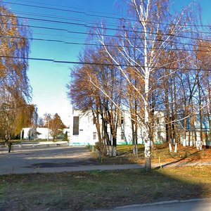 Mervinskaya Street, 16 ، ريازان: صورة