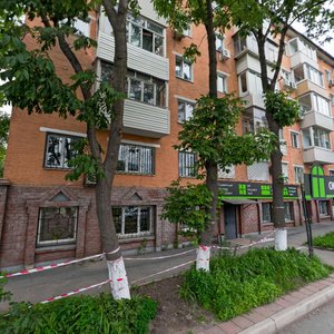 100-letiya Vladivostoka Avenue, 30 ، فلاديفوستوك: صورة