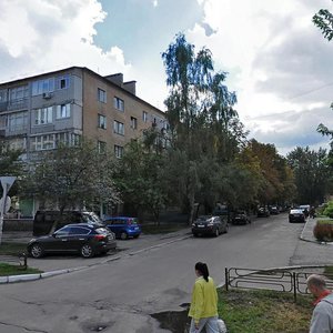 Vulytsia Korolenka, No:55, Brovary: Fotoğraflar