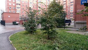 Plakhotnogo Street, 72/1, : foto