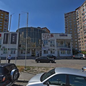 Mykhaila Hryshka Street, 4, Kyiv: photo