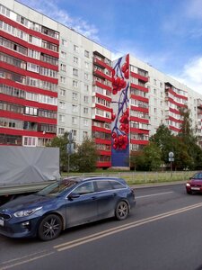 Kochetova Street, 16/46, Veliky Novgorod: photo