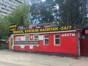 Yuzhno-Moravskaya street, 21Д, Voronezh: photo