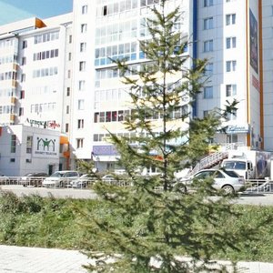 Baykalskaya Street, 202/5 ، إيركوتسك: صورة