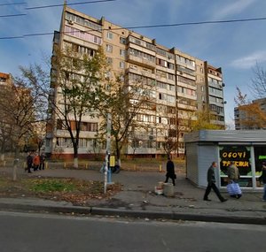 Heroiv Stalinhrada Avenue, 54, Kyiv: photo