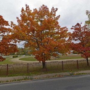 Panamarova Street, 11, : foto