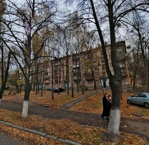 Henerala Henadіia Vorobiova Street, 18, Kyiv: photo