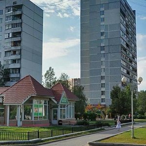 Sireneviy Boulevard, 11А, Troitsk: photo