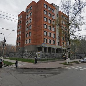 Тула, Улица Болдина, 91: фото
