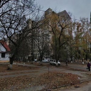 Henerala Naumova Street, 31, Kyiv: photo