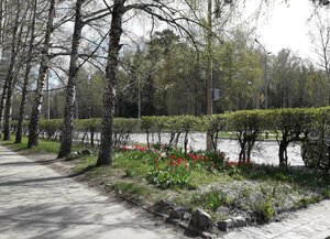 Morskoy Avenue, 48 ، نوفوسيبيرسك: صورة
