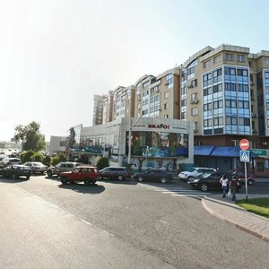 Clement Timiryazev Street, 1, Almaty: photo