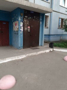 Trolleynaya Street, 3/1, Novosibirsk: photo