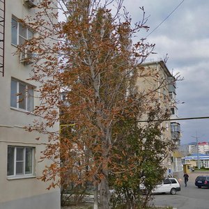 Lenina Avenue, 29, Novorossiysk: photo