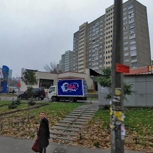 Vadyma Hetmana Street, 40А, Kyiv: photo