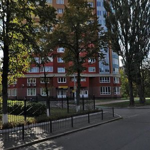 Heroiv Oborony Street, 10А, Kyiv: photo