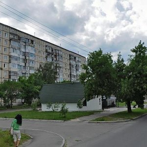 Vulytsia Oleny Telihy, 53А, : foto