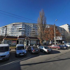 Белая Церковь, Улица Леваневского, 47/1: фото