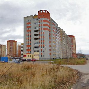 Novosyolov Street, 55, Ryazan: photo