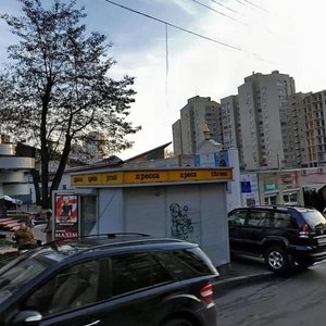 Velyka Vasylkivska Street, 114Г, Kyiv: photo