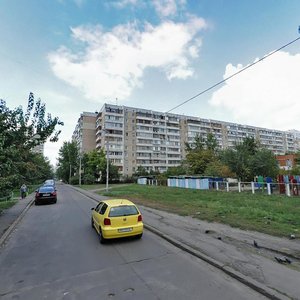 Trostianetska Street, 8Б, Kyiv: photo