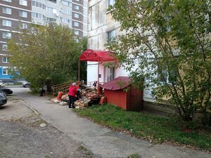 Ulitsa Vilyamsa, 41А, Perm: photo