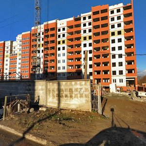 Bystretskaya Street, 20 ، ريازان: صورة