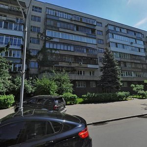 Shovkovychna Street, 29, Kyiv: photo