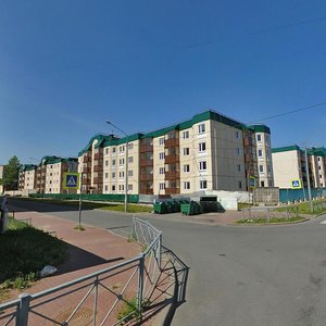 Gospitalniy Lane, 21к1, Pushkin: photo