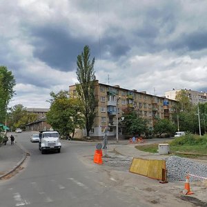 Vitriani Hory Street, 1, Kyiv: photo