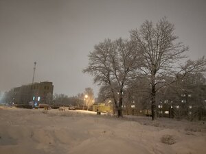 Praspiekt Frunze, 90А, Vitebsk: photo