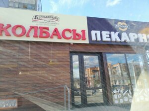Gorkogo Street, 15, Ryazan: photo