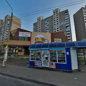 Olexandra Myshugy Street, 3А, Kyiv: photo