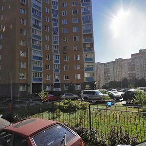 Levanevskoho Street, 9 ، كييف: صورة