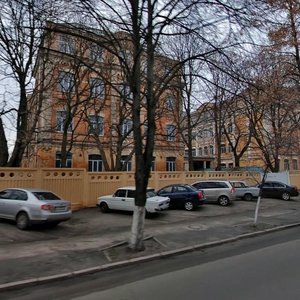 Mytrofana Dovnar-Zapolskoho Street, 7А, Kyiv: photo